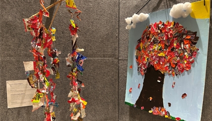 America Recycles Day Exhibit
